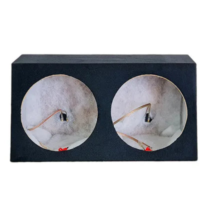 12" Dual Subwoofer Enclosure